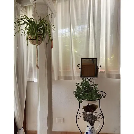 Holiday home Casetta Milu Lu Lioni